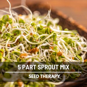 5-Part Mix Sprouting Seeds – Heirloom, Nutrient-Dense, Easy to Grow, Perfect for Sprouting at Home | 5 Varieties