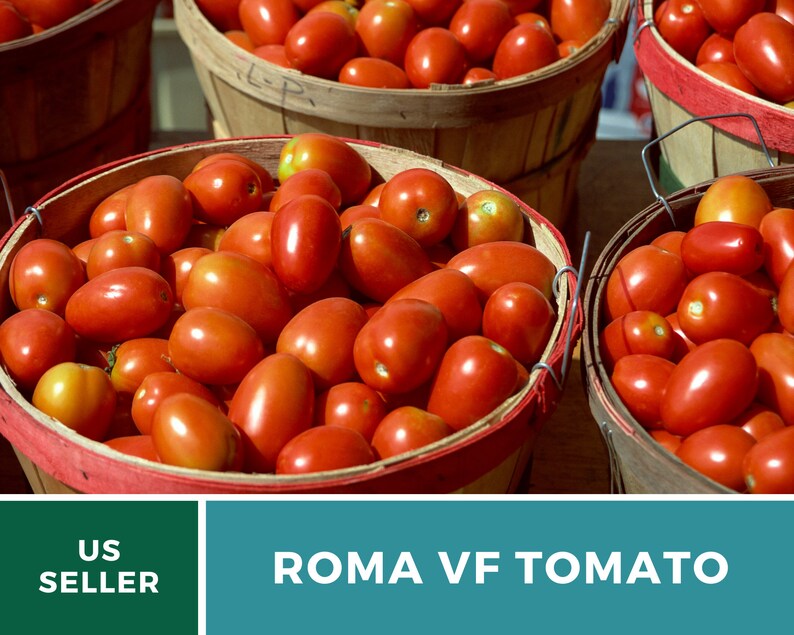 Heirloom, Non-GMO For Home Gardens Cherry Tomatoes