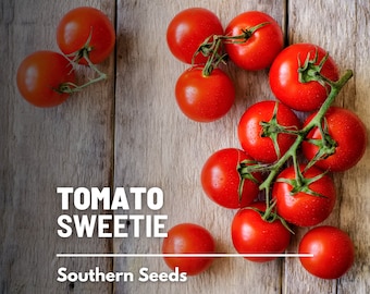 Tomato, Sweetie - 50 Seeds - Heirloom Vegetable, Indeterminate Plant - Small, sweet cherry tomatoes (Lycopersicon esculentum)