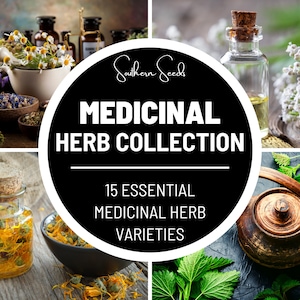 Collection de graines d'herbes médicinales - 15 herbes essentielles du patrimoine - Cultivez votre propre jardin curatif - Remèdes naturels et bien-être à la maison