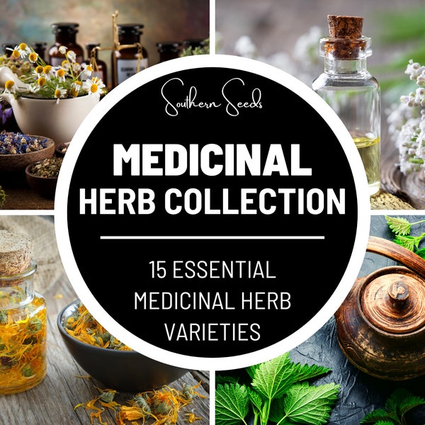 Medicinal Herb Seed Collection - 15 Essential Heirloom Herbs - Grow Your Own Healing Garden - Natural Remedies and Wellness at Home