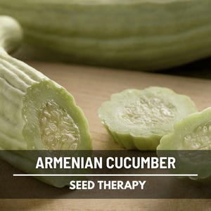 Armenian Yard-Long Cucumber Seeds – Heirloom, Open Pollinated & Non-GMO, Unique Long Vegetable, Easy to Grow | 30 Seeds