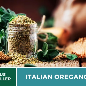 K&ouml;nnte beinhalten: Ein Glas gef&uuml;llt mit getrocknetem italienischem Oregano, im Hintergrund frische Oregano-Zweige. Das Glas steht auf einer Holzoberfl&auml;che. US SELLER ITALIAN OREGANO.