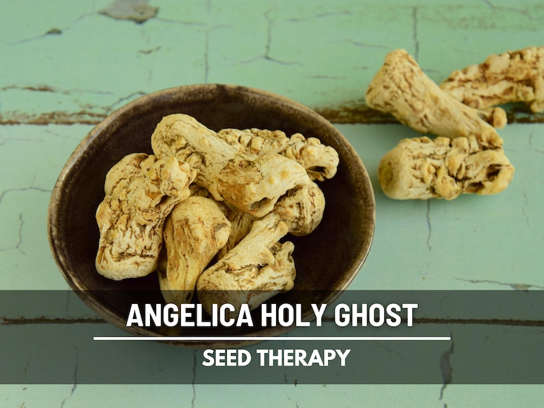 Dried Angelica Holy Ghost roots displayed in a wooden bowl – Seed Therapy