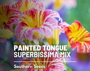 Painted Tongue, Superbissima Mix - 250 Seeds - Heirloom Trumpet Flower (Salpiglossis sinuata)