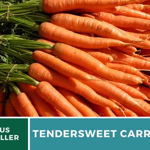 May include: A close-up image of a bunch of bright orange carrots with green tops. The carrots are arranged in a pile, with the tops sticking out. The text "TENDERSWEET CARROT" is visible at the bottom of the image.