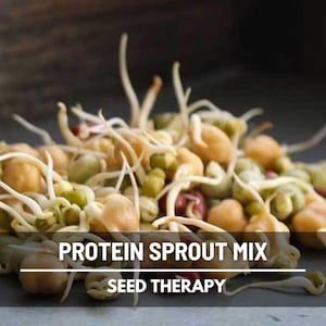 Protein Power Mix Sprouting Seeds – Heirloom, Organic, Highest Protein Sprouts, Perfect for Athletes & Dieters