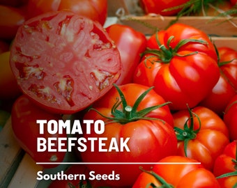 Tomato, Beefsteak - 50 Seeds - Heirloom Vegetable, Indeterminate, Large, Meaty Tomatoes, Slicing Tomato (Lycopersicon esculentum)