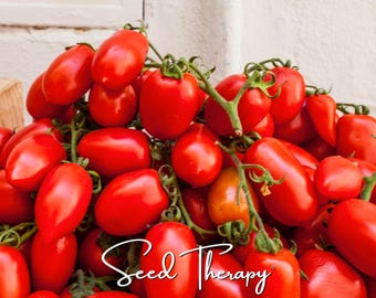 San Marzano Tomato Seeds - Heirloom Italian Tomato, Indeterminate (50 Seeds)