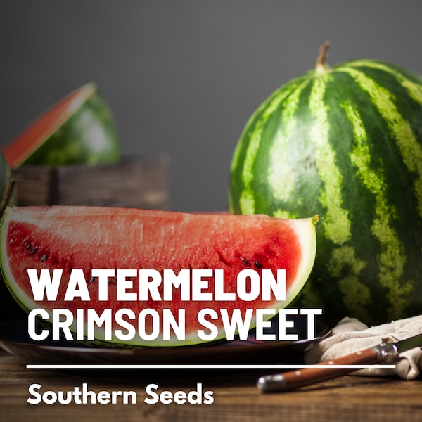 Watermelon, Crimson Sweet seeds - Heirloom Fruit (Citrullus lanatus) - Large, Sweet and Juicy Melon - Perfect for BBQs, picnics, and parties