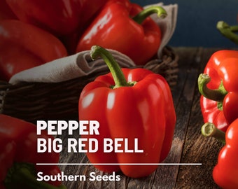 Pepper, Big Red Sweet Bell seeds - Heirloom Vegetable (Capsicum annuum) - Large and Sweet - Perfect for Stuffing, Grilling, and Fresh Eating