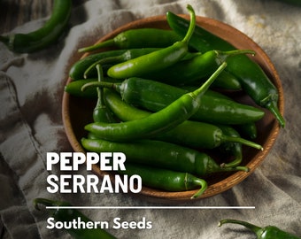 Pepper, Serrano - 25 Seeds - Heirloom Vegetable - Medium to Hot Heat - Open Pollinated - Non-GMO (Capsicum annuum)