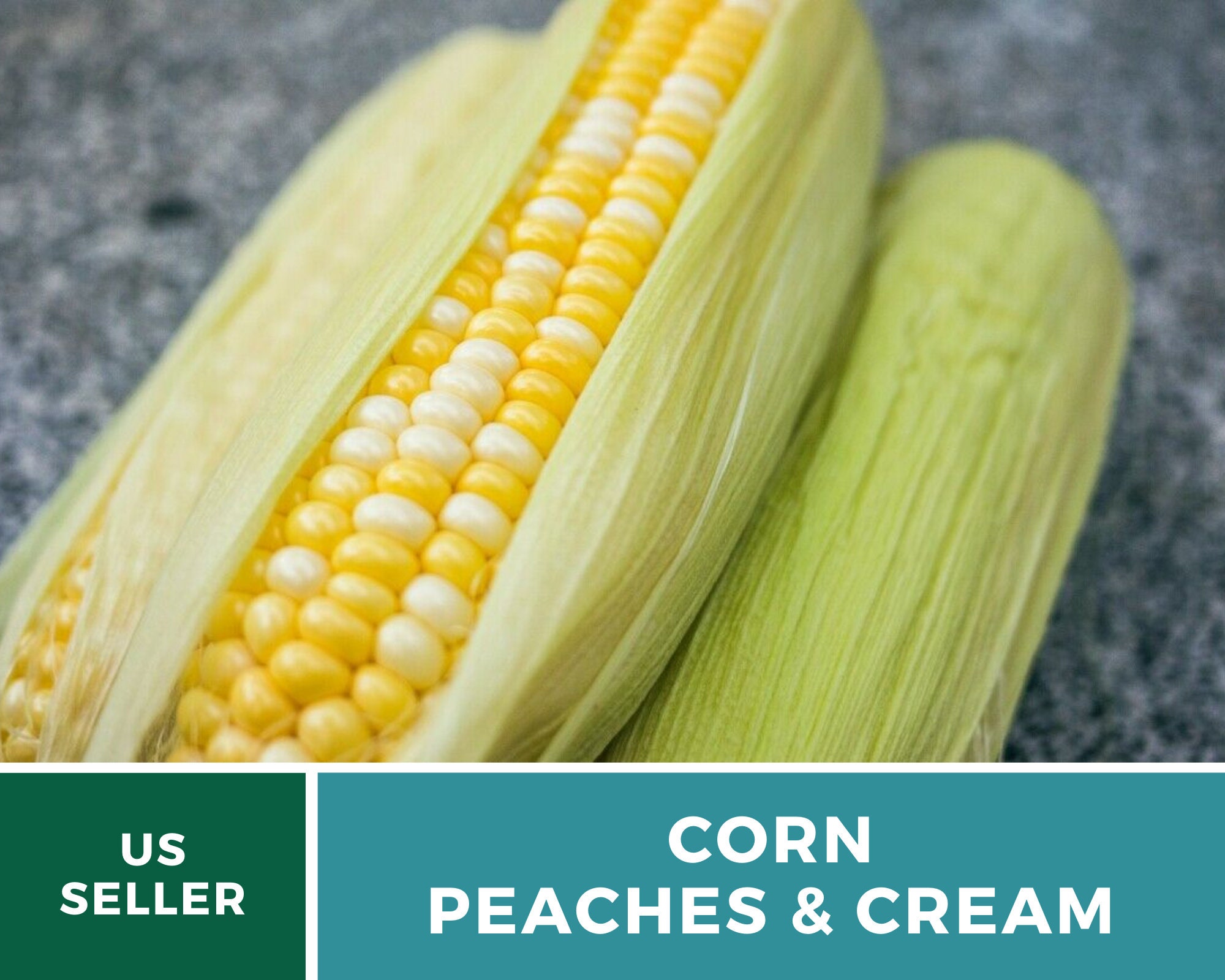 Corn Peaches & Cream 60 Seeds Grow Your Own Heirloom Etsy