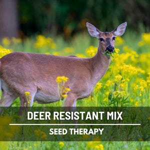 Wildflower Mix, Deer Resistant – 1,000 Seeds, Heirloom Flowers, Deer Deterrent, Adds Beauty and Color, Garden Gift