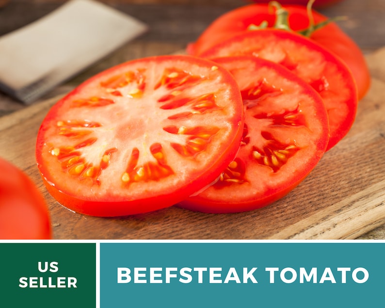 Tomato, Beefsteak 50 Seeds Heirloom Vegetable, Indeterminate, Large, Meaty Tomatoes, Slicing Tomato Lycopersicon esculentum image 2