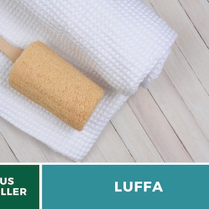 Puede incluir: Una esponja de luffa natural con un mango de madera, descansando sobre una toalla blanca. La luffa es de color marr&oacute;n claro y tiene una superficie texturizada. La toalla est&aacute; enrollada y tiene un tejido de gofre. El fondo es una superficie de madera clara.