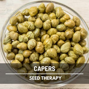 Caper Bush Seeds – Heirloom Medicinal Herb, Used in Herbal Traditions and Mediterranean Cuisine, Non-GMO, Rare Delicacy | 10 Seeds
