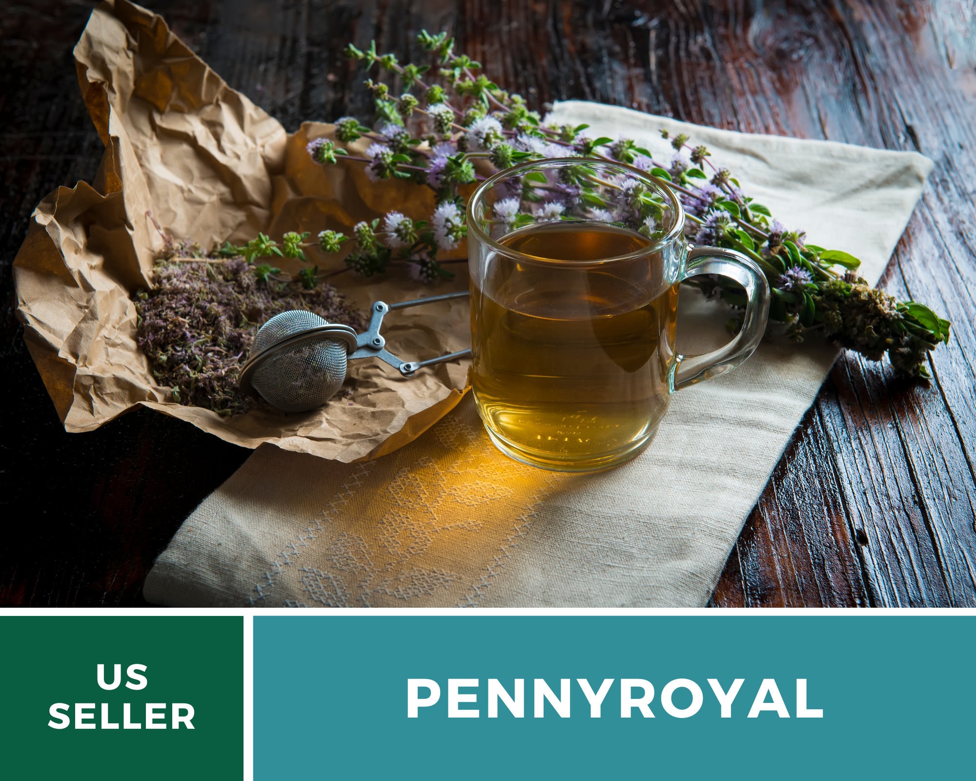 Pennyroyal 100 Seeds Cottage Gardening Tea Herb Mentha Etsy