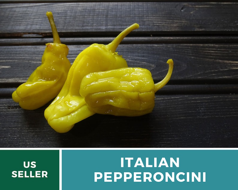 Peut inclure: Trois piments italiens jaunes sur une surface en bois fonc&eacute;. Les piments sont rid&eacute;s et ont une apparence l&eacute;g&egrave;rement translucide. Vendeur US.