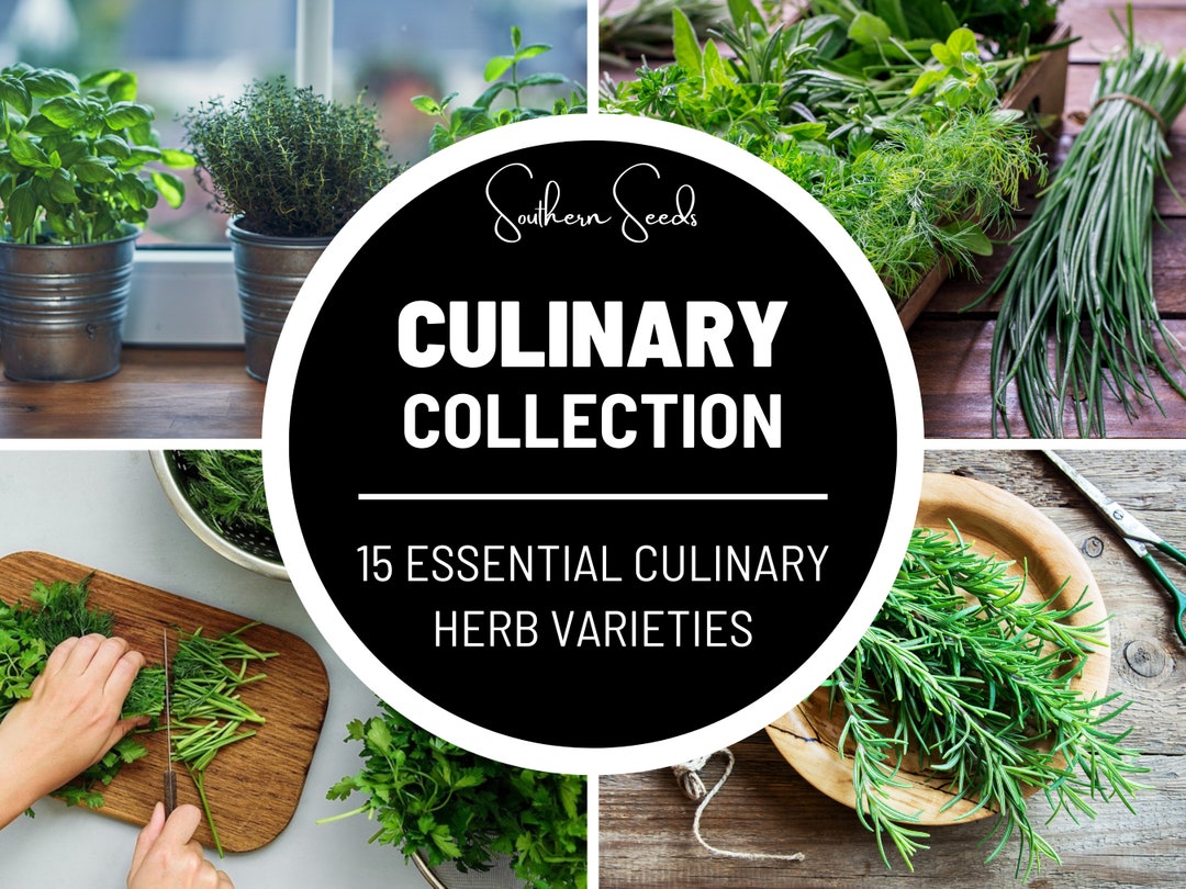 Culinary Herb Seed Collection 15 Essential Culinary Herbs Heirloom