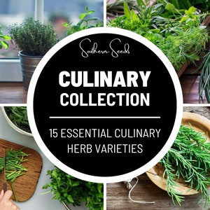 Culinary Herb Seed Collection - 15 Essential Culinary Herbs - Heirloom Seeds - Perfect for Herb Gardens and Fresh Seasonings