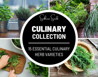 Culinary Herb Seed Collection - 15 Essential Culinary Herbs - Heirloom Seeds - Perfect for Herb Gardens and Fresh Seasonings