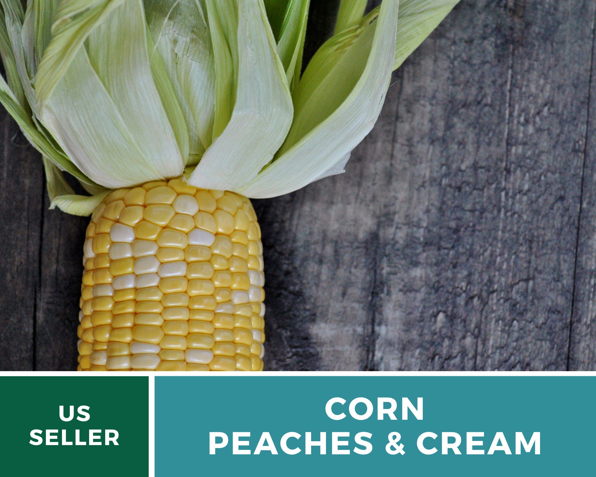 Corn Peaches & Cream 60 Seeds Grow Your Own Heirloom Etsy