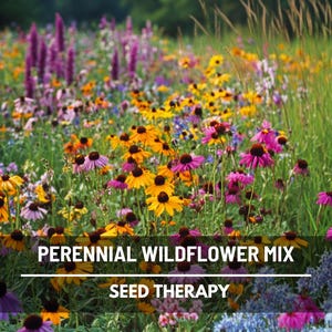 Wildflower Mix, Perennial – 1,000 Seeds, Heirloom Flowers, Long-Lasting Color, Returns Every Year, Garden Favorite
