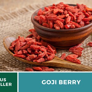 May include: A wooden spoon and a small brown bowl filled with bright red goji berries. The berries are also scattered on the burlap surface. The image includes the text "GOJI BERRY" and "US SELLER".