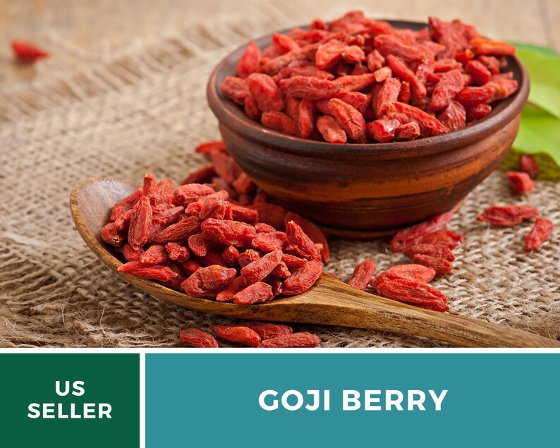 May include: A wooden spoon and a small brown bowl filled with bright red goji berries. The berries are also scattered on the burlap surface. The image includes the text "GOJI BERRY" and "US SELLER".