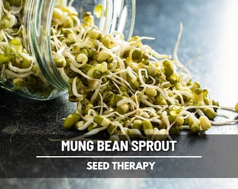 Mung Bean Sprouting Seeds, Crunchy Bean Sprouts for Stir Fry and Spring Rolls, Non GMO