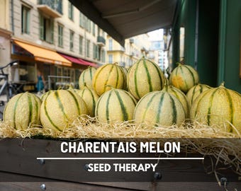 Charentais Melon Seeds – Heirloom, Gourment Fruit, Heat Tolerant (50 Seeds)