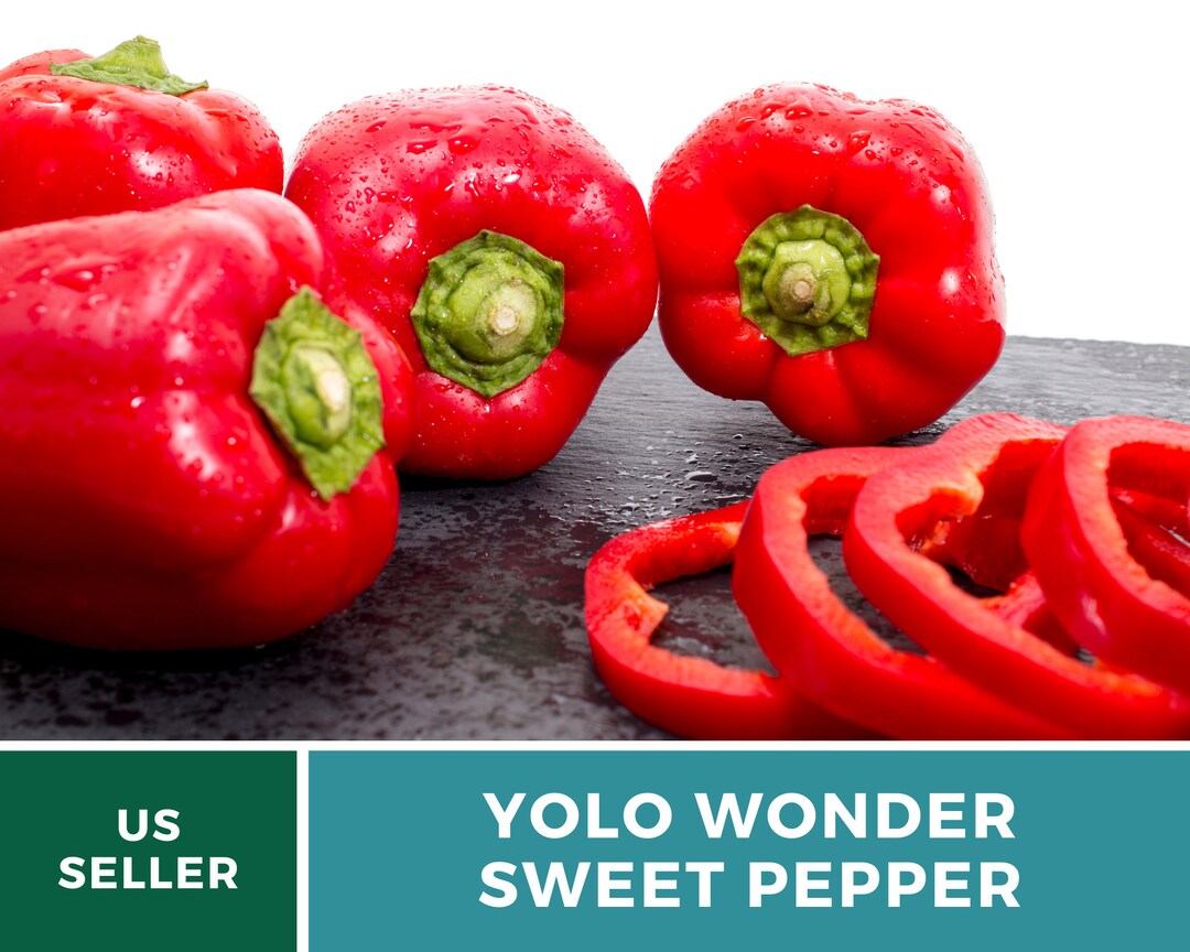 Pepper Yolo Wonder Sweet Bell Seeds Heirloom Vegetable Etsy