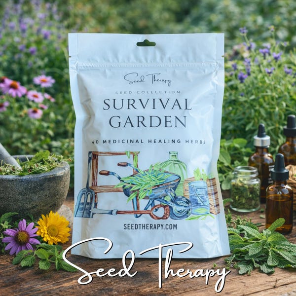 Survival Seed Garden, Medicinal Herb Collection - 40 Seed Varieties, Over 3600 Seeds, Heirloom, Long Shelf Life, Non-GMO, Emergency Go Bag