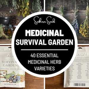 Survival Garden, Medicinal Herb Collection - 40 Seed Varieties, Over 3600 Seeds, Heirloom, Long Shelf Life, Non-GMO, Emergency Go Bag
