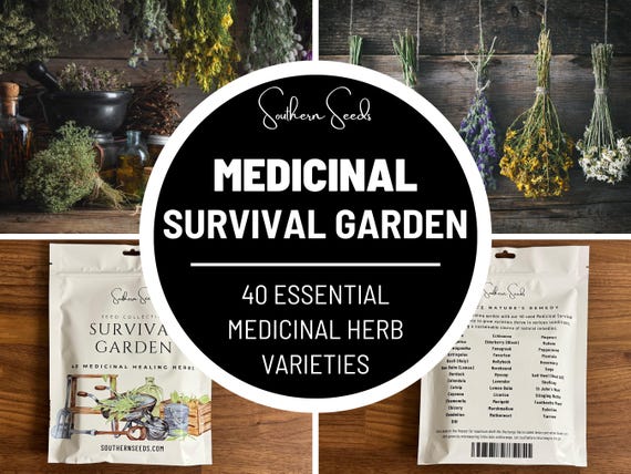 Survival Garden, Medicinal Herb Collection - 40 Seed Varieties, Over 3600 Seeds, Heirloom, Long Shelf Life, Non-GMO, Emergency Go Bag
