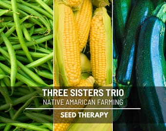 Three Sisters Seed Collection – Native American Farming Trio, Corn, Bean & Squash, Companion Crops, Heirloom Varieties