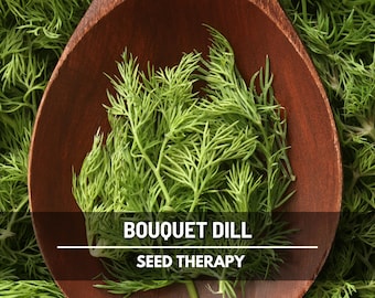 Bouquet Dill Seeds – Heirloom Culinary Herb, Non-GMO, Classic Pickling Variety (100 Seeds)