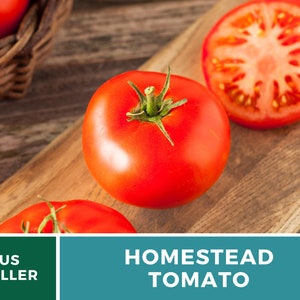 Pu&ograve; includere: Primo piano di un pomodoro Homestead rosso su un tagliere di legno. Il pomodoro &egrave; intero e ha un gambo verde. Ci sono altri pomodori sullo sfondo.