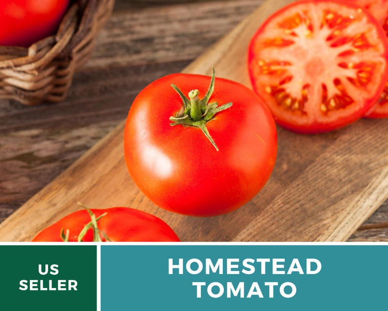 Pu&ograve; includere: Primo piano di un pomodoro Homestead rosso su un tagliere di legno. Il pomodoro &egrave; intero e ha un gambo verde. Ci sono altri pomodori sullo sfondo.