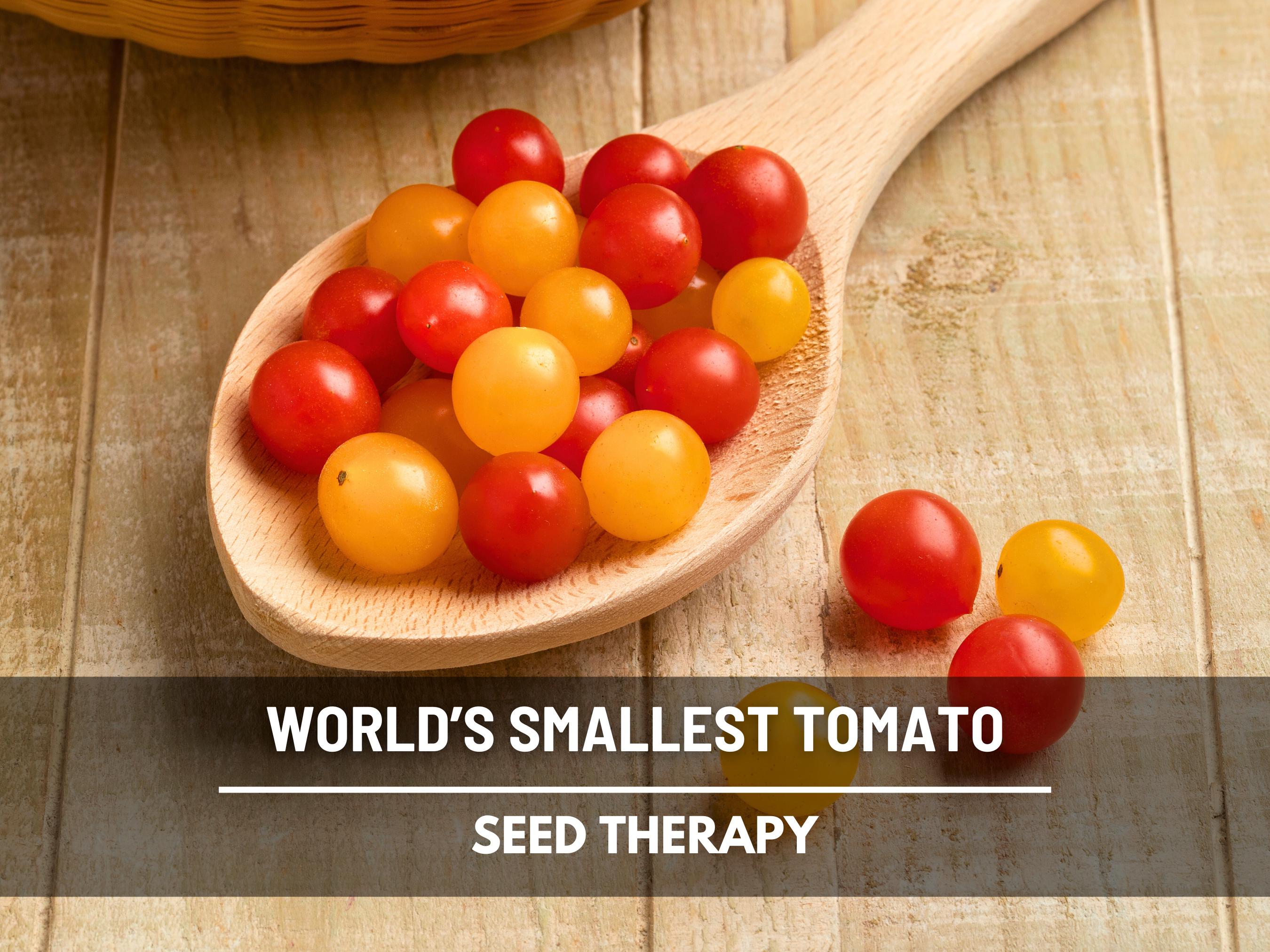 Plant World Seeds - Etsy