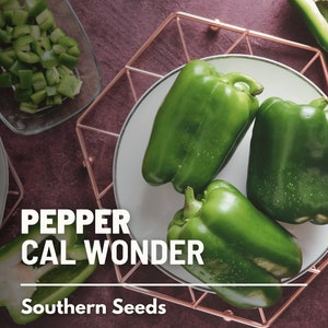 Pepper, Cal Wonder Sweet Bell - 30 Seeds - Heirloom Vegetable - Classic Bell Pepper - Open Pollinated - Non-GMO (Capsicum annuum)