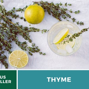 May include: A glass of water with ice and a lime wedge, garnished with a sprig of fresh thyme.  There are two whole limes and sprigs of thyme on a white linen background.