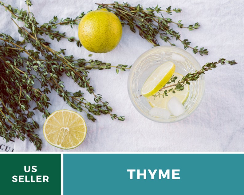 May include: A glass of water with ice and a lime wedge, garnished with a sprig of fresh thyme.  There are two whole limes and sprigs of thyme on a white linen background.