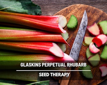 May include: Close-up of fresh rhubarb stalks with vibrant red and green hues, alongside sliced pieces on a wooden cutting board. A silver knife rests on the board. Text reads "Glaskins Perpetual Rhubarb Seed Therapy."