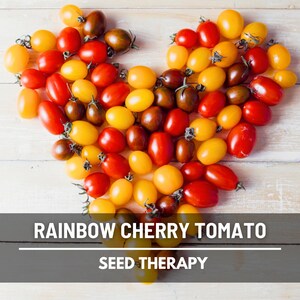Peut inclure: Une collection de tomates cerises rouges, jaunes et brun fonc&eacute; dispos&eacute;es en forme de c&oelig;ur. Le texte RAINBOW CHERRY TOMATO SEED THERAPY est superpos&eacute; en blanc sur une barre horizontale gris fonc&eacute; dans la partie inf&eacute;rieure de l'image.