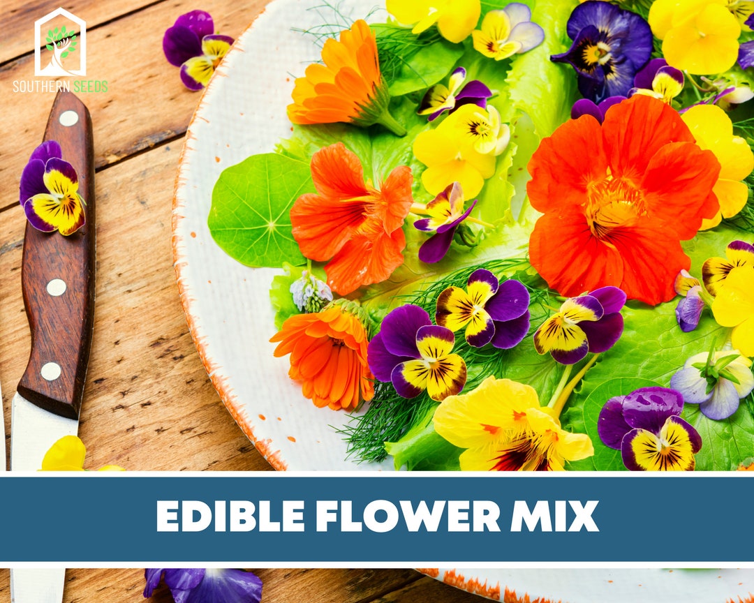 Edible Flower Seed Mix Assorted Edible Flowers Suitable Etsy