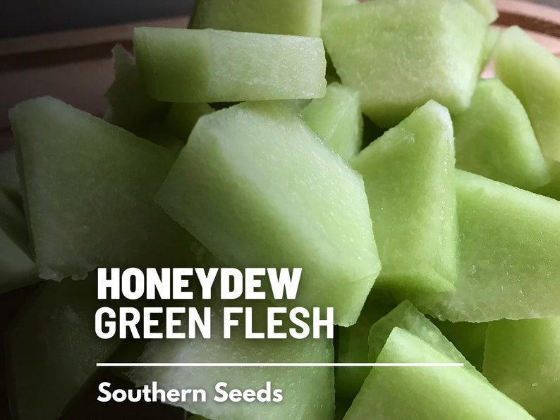 May include: Close-up of cubed green honeydew melon. The melon is light green and has a smooth texture. The text "HONEYDEW GREEN FLESH" and "Southern Seeds" is visible in the image.