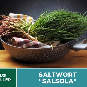 Puede incluir: Un manojo de Salwort "Salsola" verde fresco en un cuenco de cer&aacute;mica gris moteado con un pa&ntilde;o a cuadros blanco y negro. El cuenco tiene un asa gris.