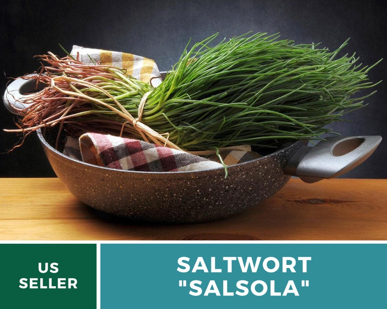 Puede incluir: Un manojo de Salwort "Salsola" verde fresco en un cuenco de cer&aacute;mica gris moteado con un pa&ntilde;o a cuadros blanco y negro. El cuenco tiene un asa gris.